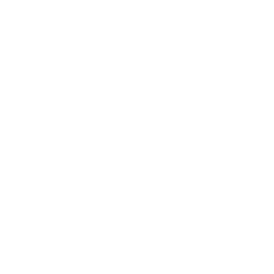 X (Twitter)